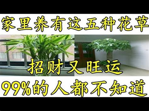 客廳 植物 風水|風水師推薦：6種招財植物大公開